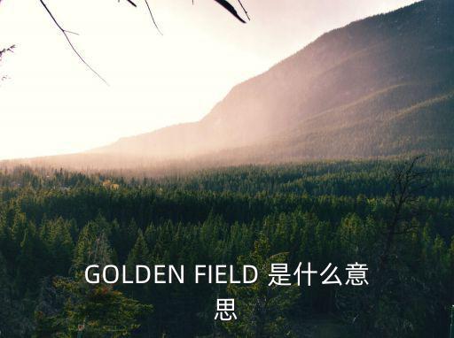 GOLDEN FIELD 是什么意思