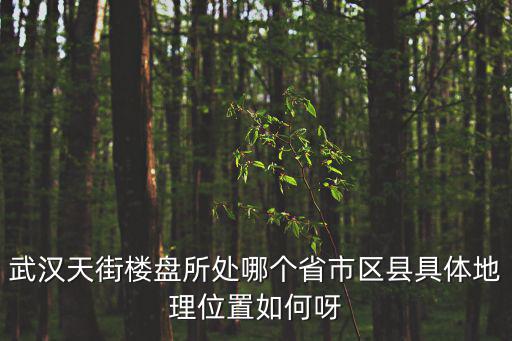武漢天街樓盤所處哪個省市區縣具體地理位置如何呀