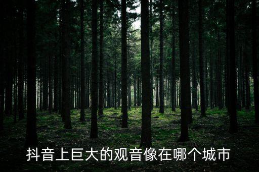 抖音上巨大的觀音像在哪個城市