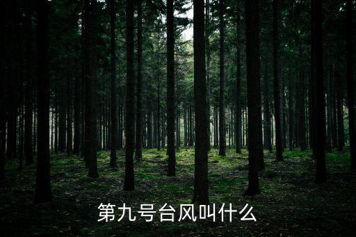 第九號(hào)臺(tái)風(fēng)叫什么