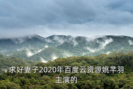 求好妻子2020年百度云資源姚芊羽主演的