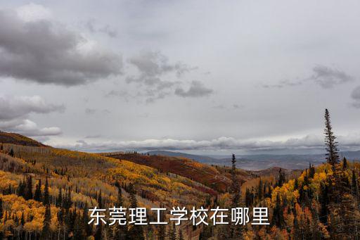 東莞理工學校在哪里
