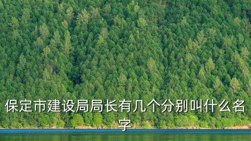 保定市建設局局長有幾個分別叫什么名字