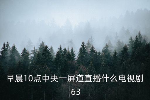 早晨10點(diǎn)中央一屛道直播什么電視劇 63