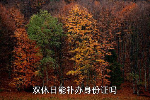 雙休日能補辦身份證嗎
