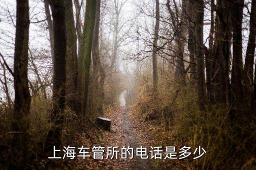 上海車管所電話，上海虹口車管所的地址和電話