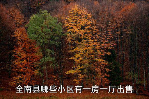 全南縣哪些小區有一房一廳出售