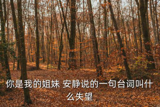 你是我的姐妹 安靜說的一句臺詞叫什么失望
