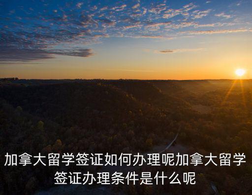 加拿大留學簽證如何辦理呢加拿大留學簽證辦理條件是什么呢