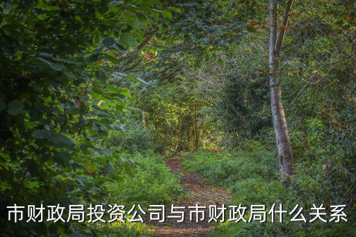 三亞市財政局，市財政局投資公司與市財政局什么關系