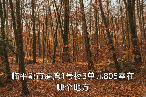 臨平都市港灣1號樓3單元805室在哪個地方