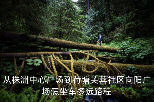 從株洲中心廣場到荷塘芙蓉社區向陽廣場怎坐車多遠路程