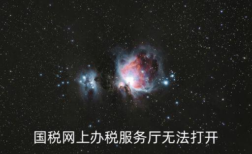 國稅網(wǎng)上辦稅服務(wù)廳無法打開