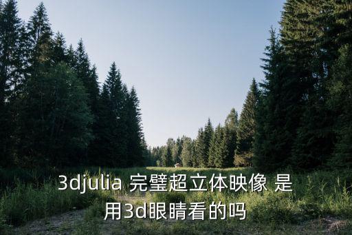 超立體，3djulia 完璧超立體映像 是用3d眼睛看的嗎