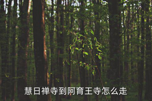 慧日禪寺到阿育王寺怎么走