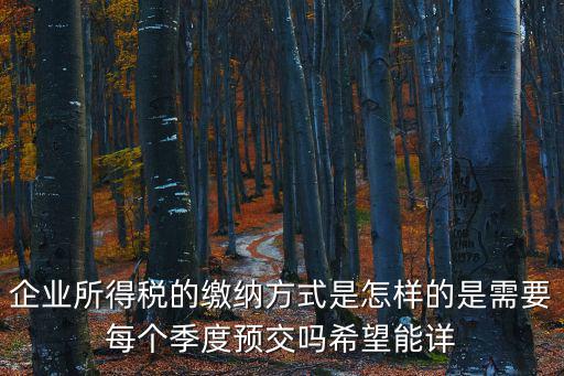 企業所得稅怎么交，怎樣在網上交企業所得稅
