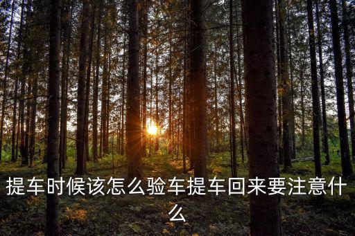 提車時候該怎么驗車提車回來要注意什么