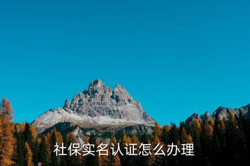 社保實名認證怎么辦理