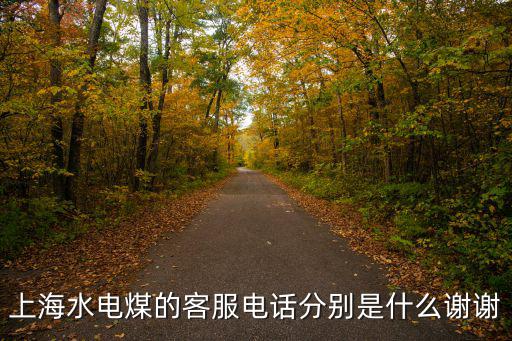 上海水電煤的客服電話分別是什么謝謝