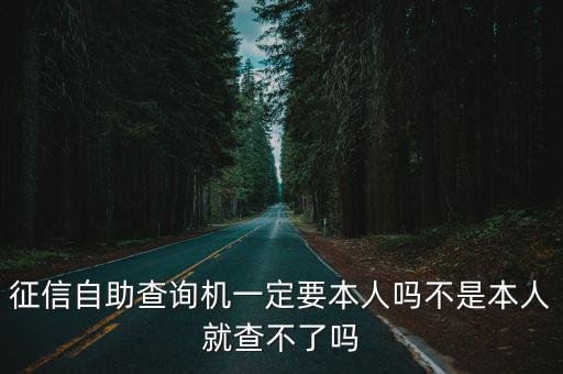 征信自助查詢機一定要本人嗎不是本人就查不了嗎