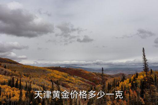 天津黃金價格多少一克