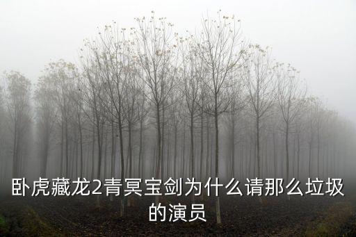 臥虎藏龍2青冥寶劍為什么請那么垃圾的演員