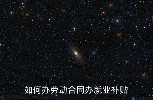 如何辦勞動(dòng)合同辦就業(yè)補(bǔ)貼