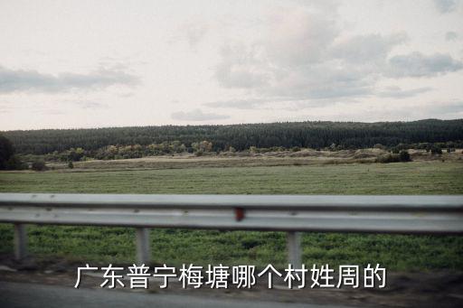 廣東普寧梅塘哪個(gè)村姓周的