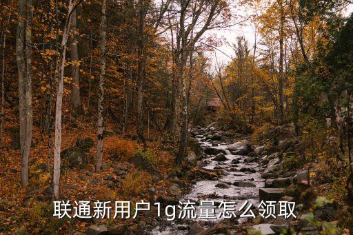 聯(lián)通新用戶1g流量怎么領(lǐng)取