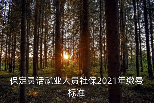 保定社保，保定社保局