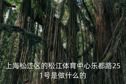 上海松江區的松江體育中心樂都路251號是做什么的
