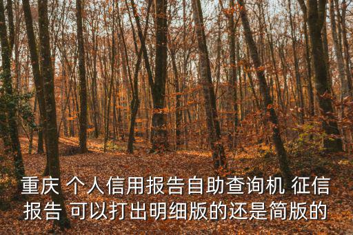 征信自助查詢機，自助查征信能打詳細的嗎