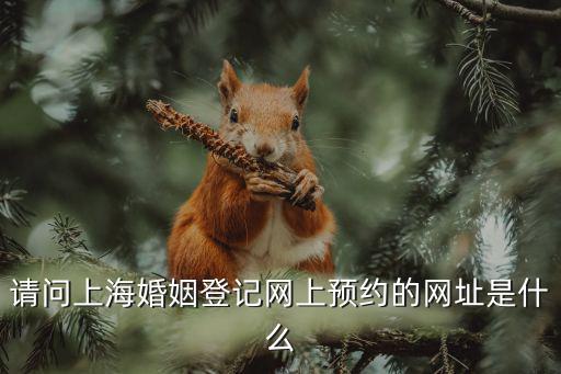 請問上海婚姻登記網上預約的網址是什么