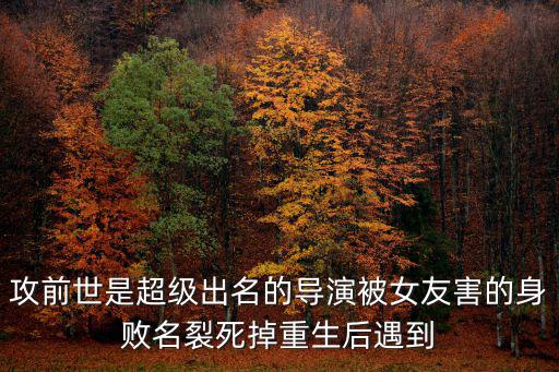 攻前世是超級出名的導演被女友害的身敗名裂死掉重生后遇到