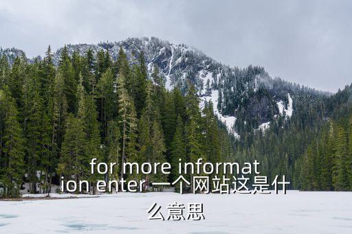 for more information enter 一個網站這是什么意思