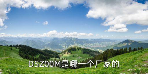 DSZ00M是哪一個廠家的