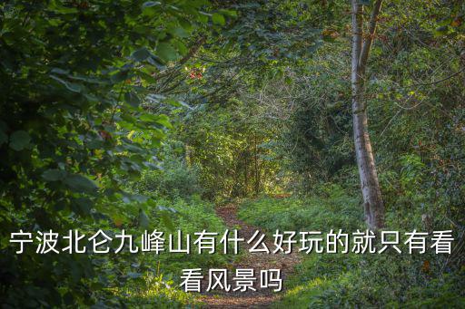 寧波北侖九峰山有什么好玩的就只有看看風景嗎