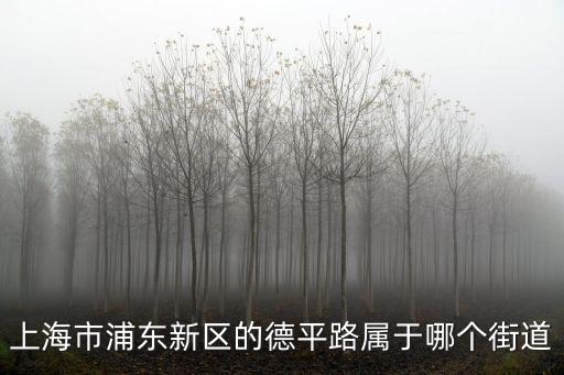 上海市浦東新區(qū)的德平路屬于哪個街道