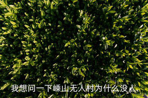 我想問一下嵊山無人村為什么沒人