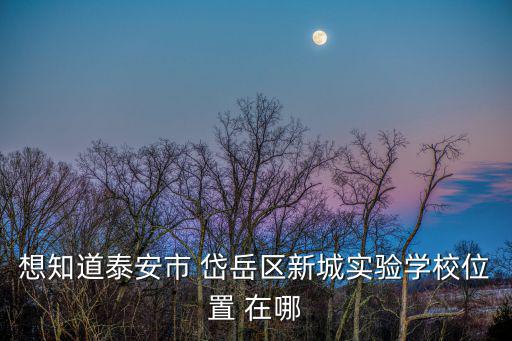 想知道泰安市 岱岳區(qū)新城實驗學校位置 在哪
