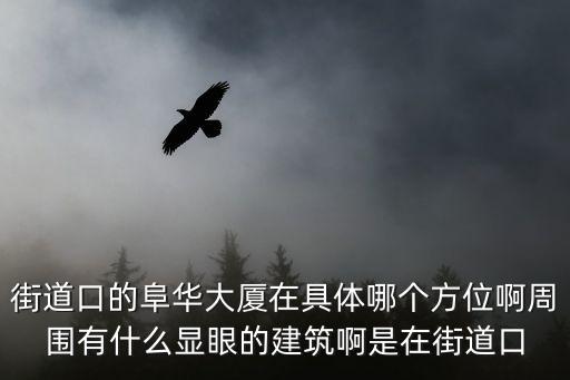 阜華大廈，武漢街道口阜華大廈A座806室是什么什么公司是騙子中介嗎  問