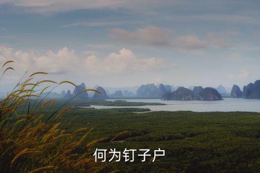 何為釘子戶