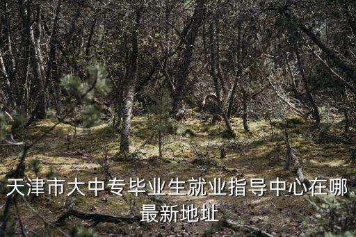 天津市大中專畢業生就業指導中心在哪 最新地址