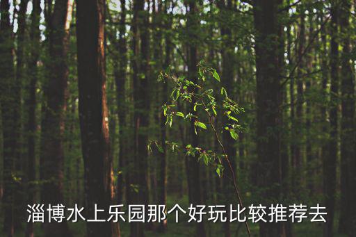 水樂園，淄博水上樂園那個好玩比較推薦去