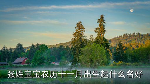 張姓寶寶農歷十一月出生起什么名好