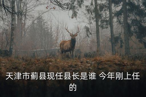 天津市薊縣現(xiàn)任縣長是誰 今年剛上任的