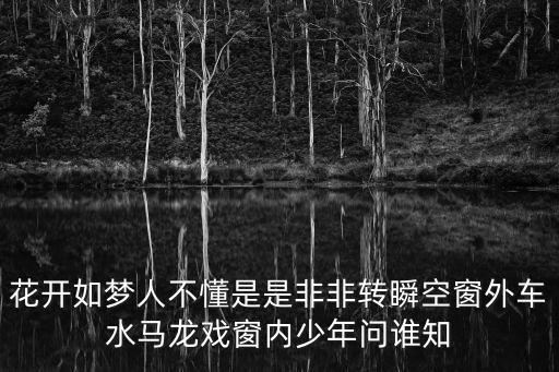 花開如夢人不懂是是非非轉瞬空窗外車水馬龍戲窗內少年問誰知