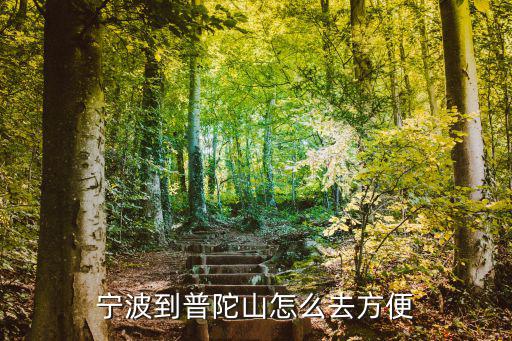 寧波到普陀山怎么去方便
