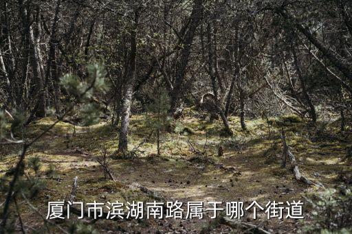 廈門市濱湖南路屬于哪個街道