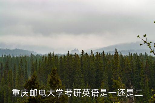 重慶郵電大學(xué)考研，重慶郵電大學(xué)就業(yè)好不考研呢